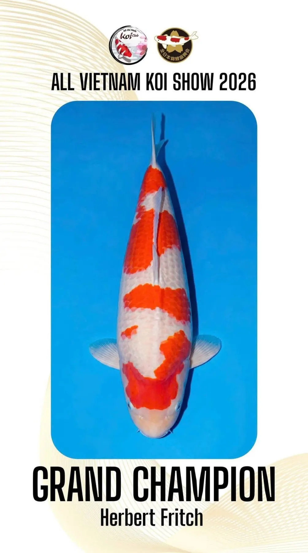 Grand Champion All Vietnam Koi Show 2026