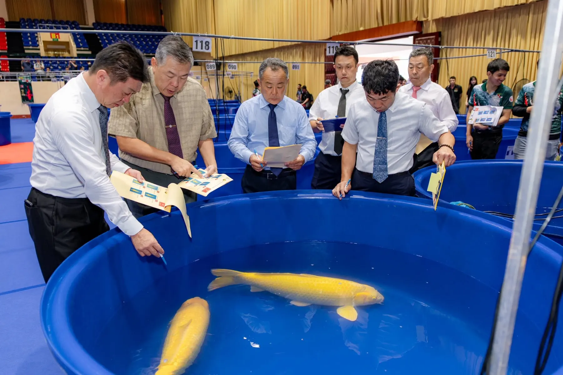 Giám khảo All Vietnam Koi Show 2026