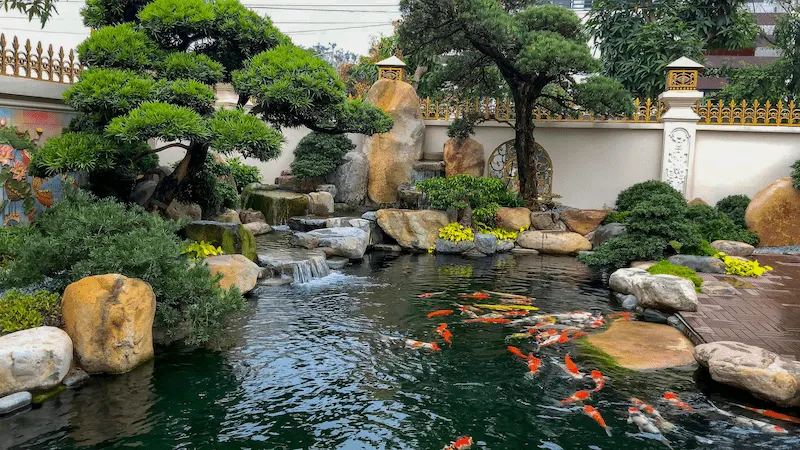 dich-vu-thi-cong-ho-ca-koi-dep