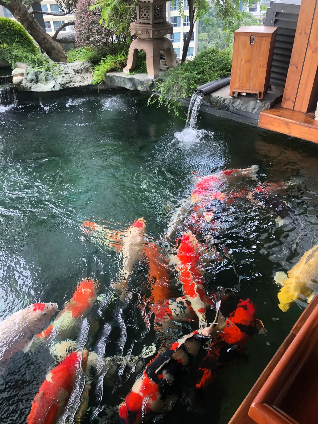 Hồ Koi Landmark 81
