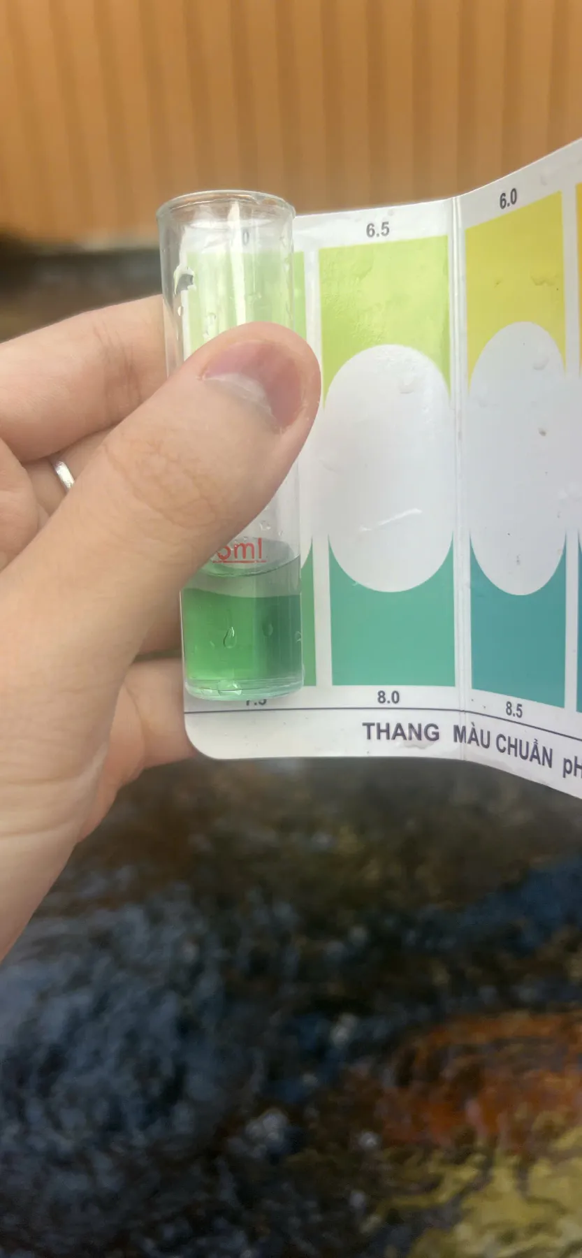 pH hồ anh Trường Thịnh