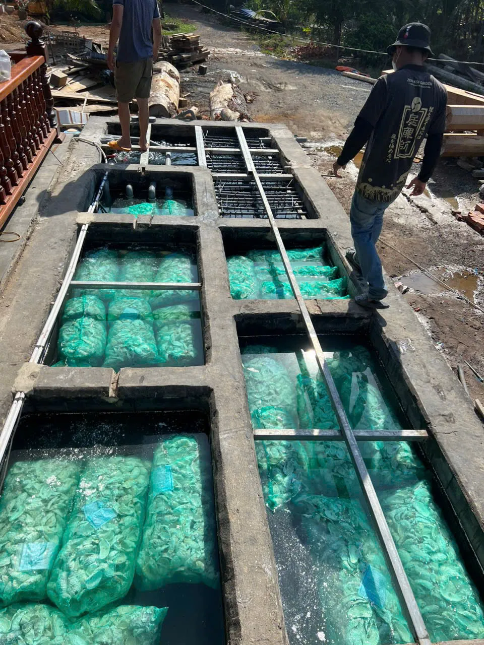 Hệ thống lọc của hồ Koi 100m³